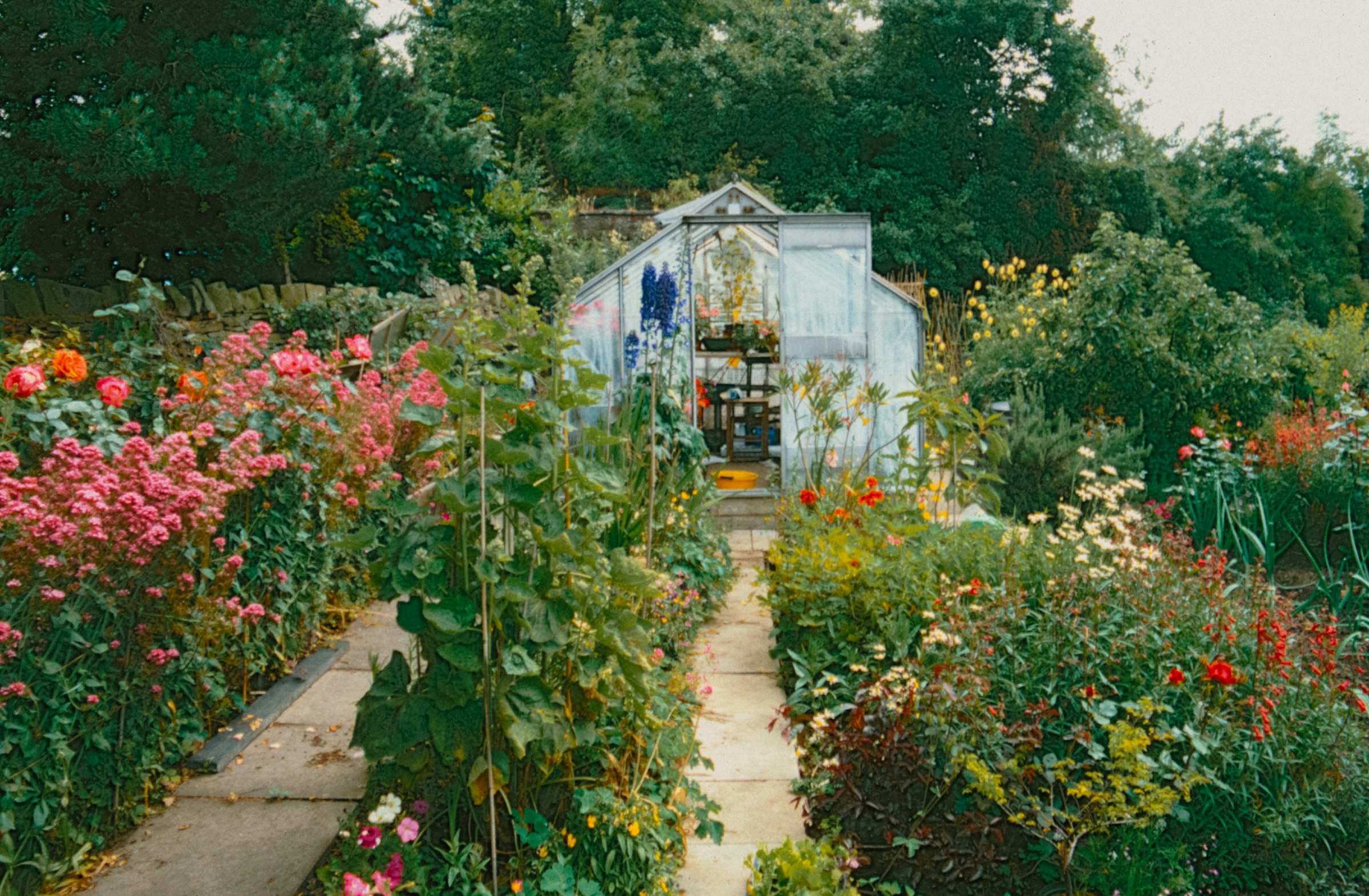 Cottage garden filled with flowers and a greenhouse