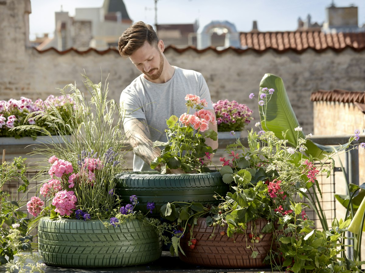 Home gardener tending potted flowers on a sunny terrace