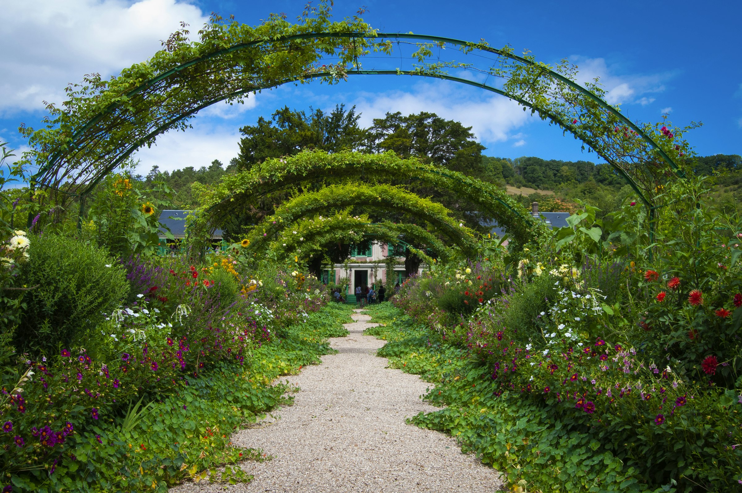 Path through a tunnel of green arches and flower borders